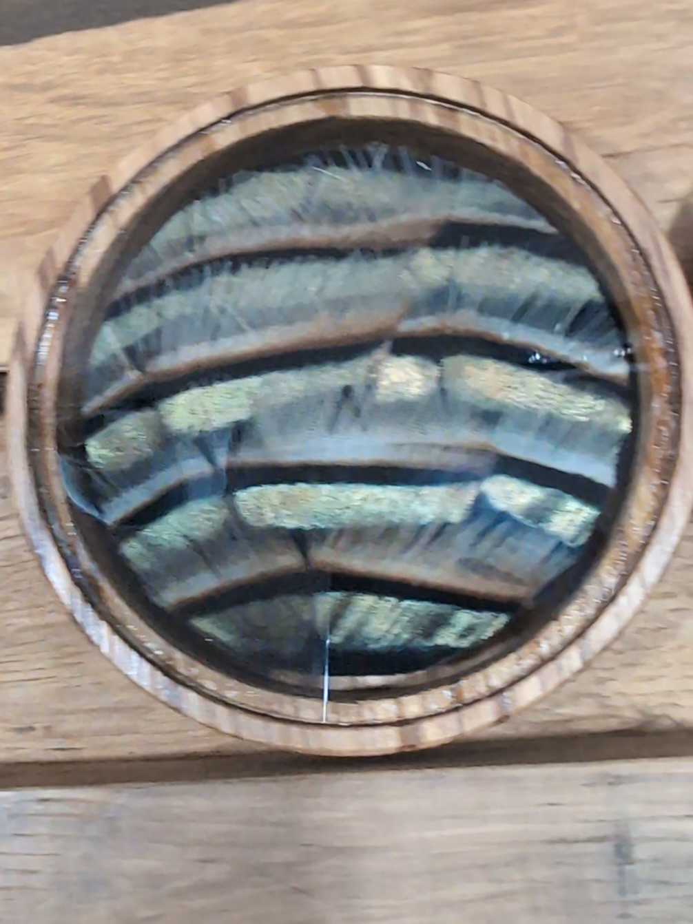 @Double Down Game Calls