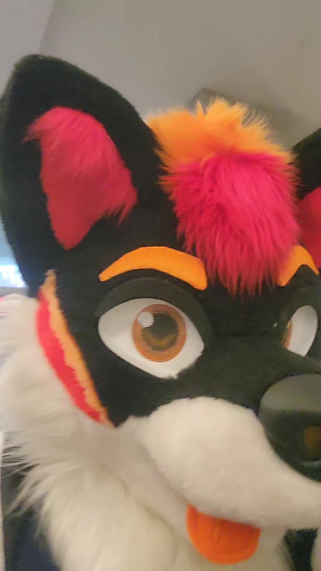 @Luco Foxxo