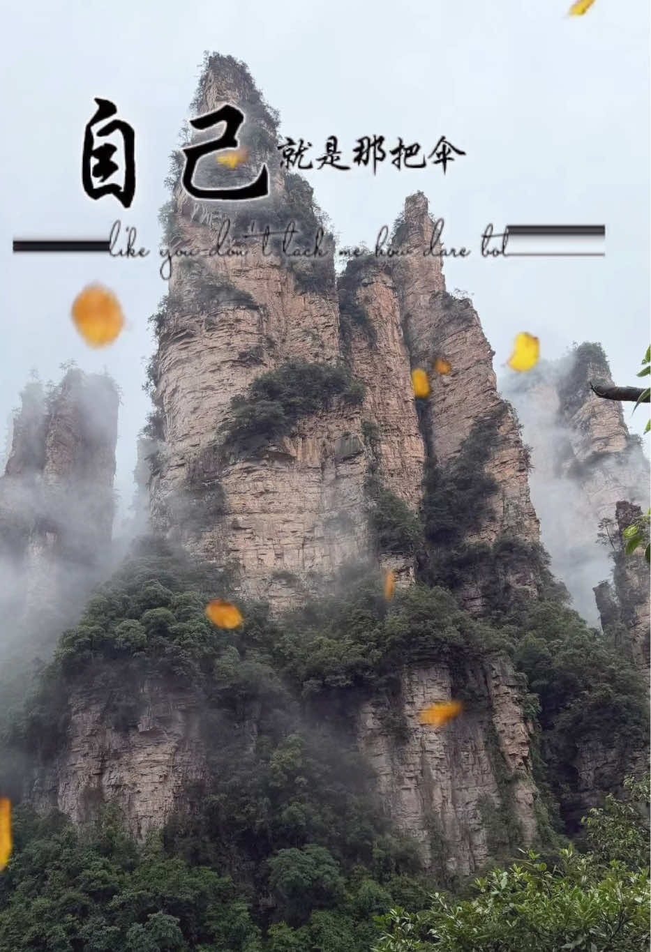 @菲菲