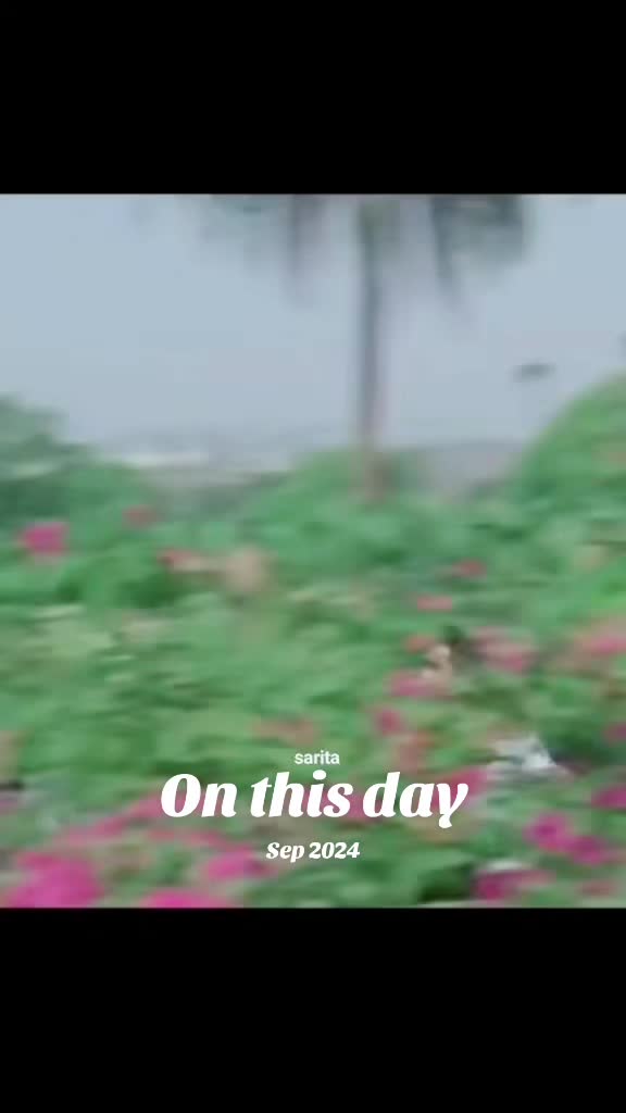 @Sarita