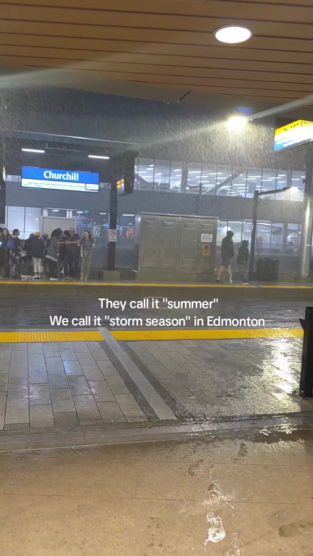@Bad Driver Edmonton