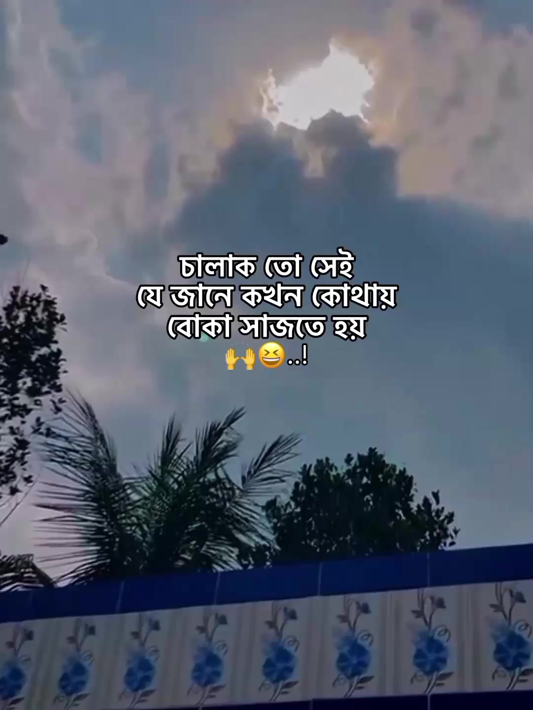 @⁷𝐇𝐚𝐦𝐢𝐝𝐚◡🧃