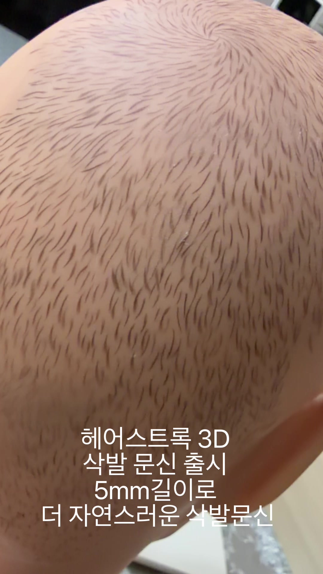 @명품눈썹 peritu(페리투)
