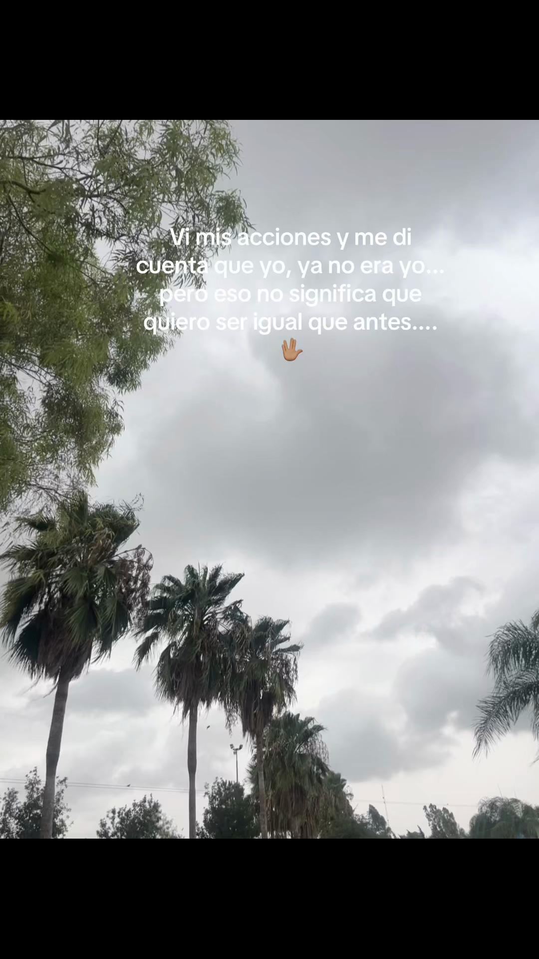 @🦉