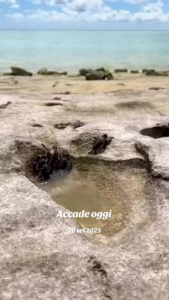 @mariaFanciulli615