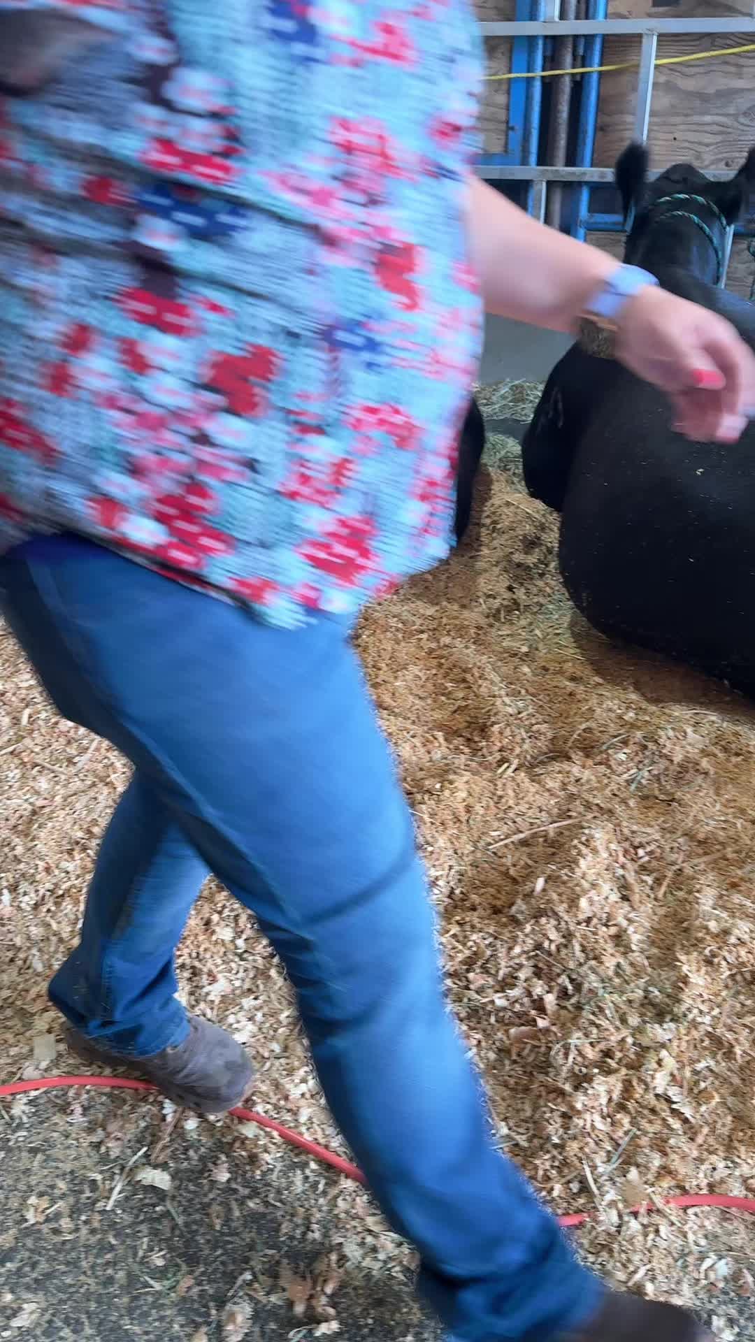 @Teresa Martínez