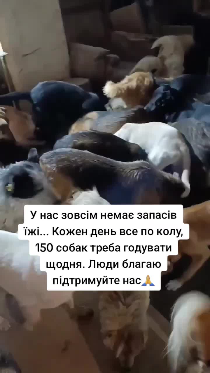 @tvarinkidobra