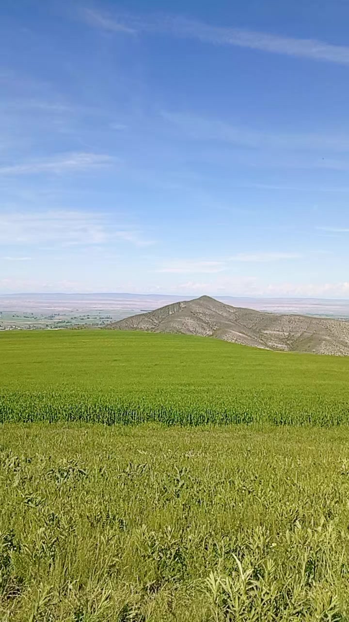 @Məhəmmədli