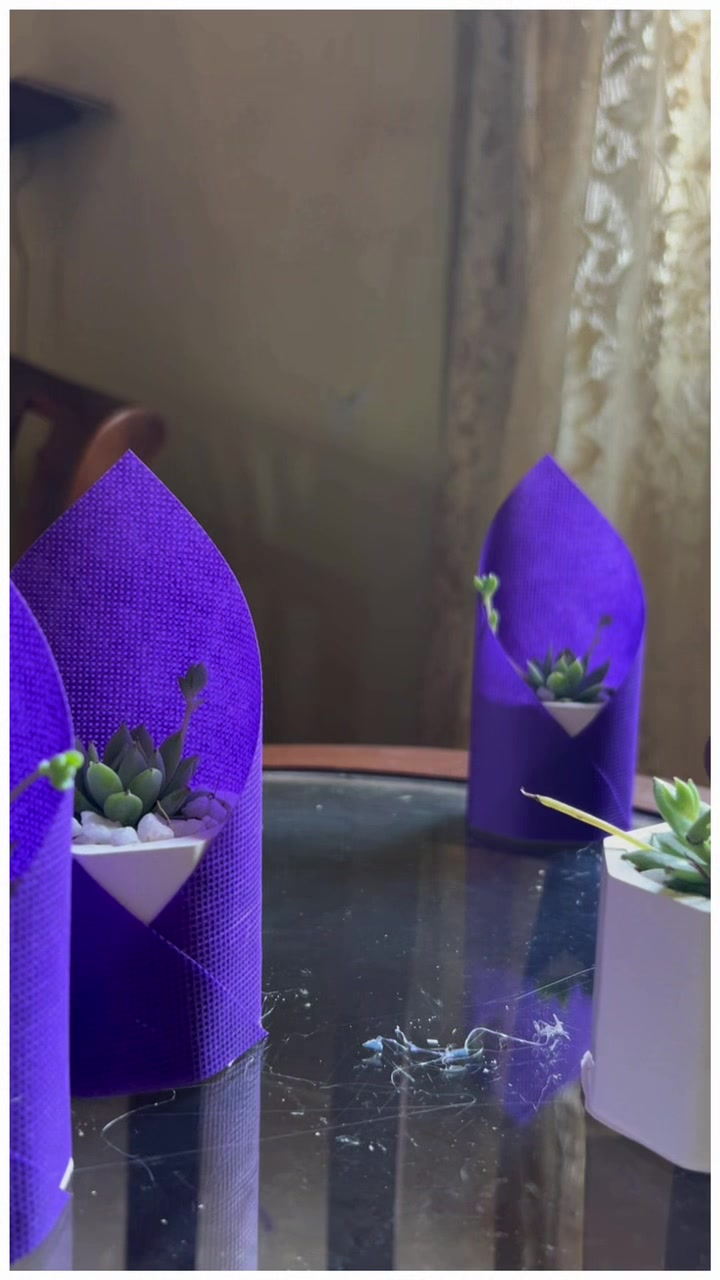 @Happy Plants