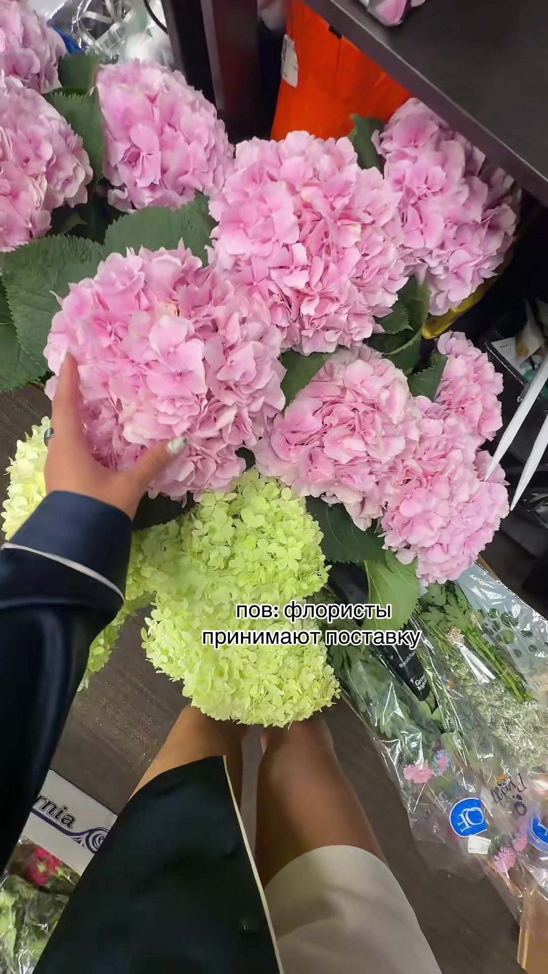 @Nataliia Shpilevaia