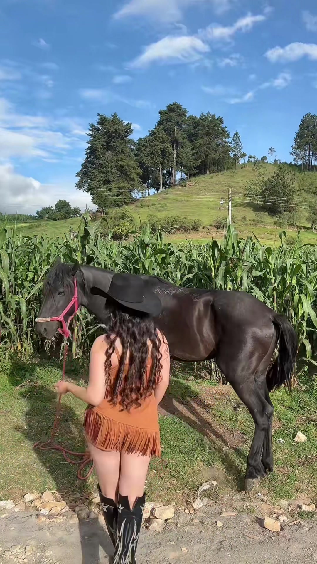 @Beatriz50204🐎🤠