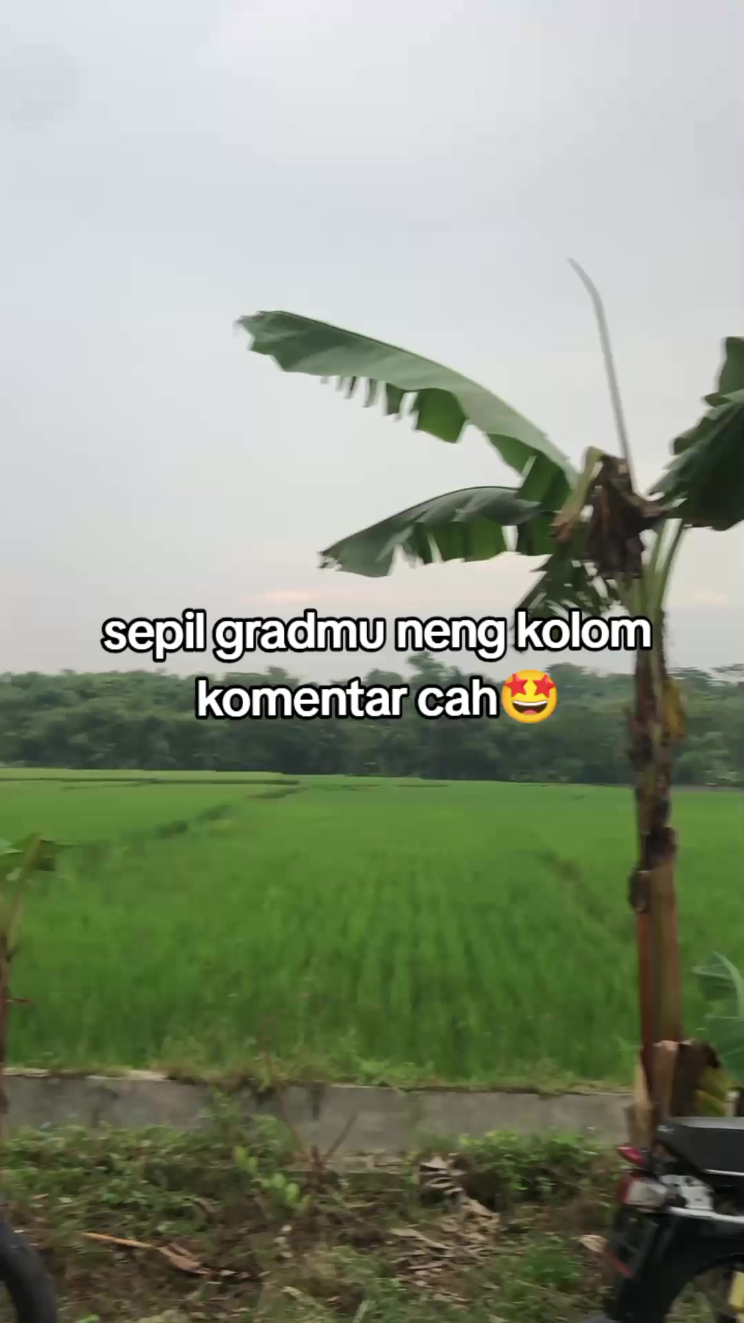 @firmann