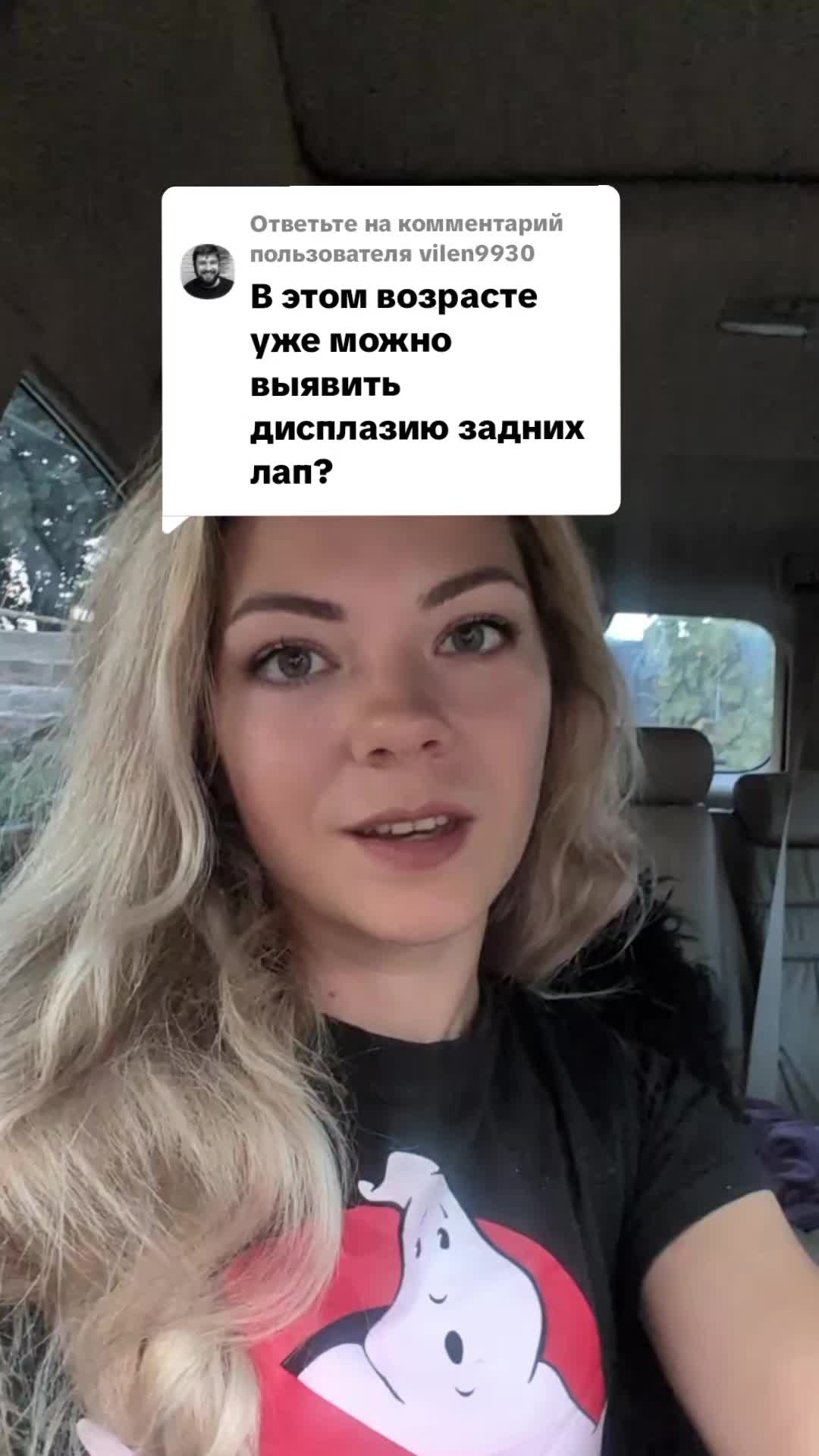 @вівчарки "Wolf'sfelzem"