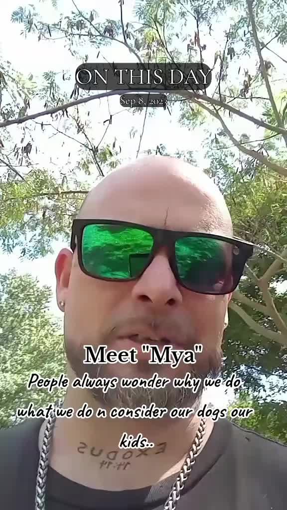 @CEOGodzGOON