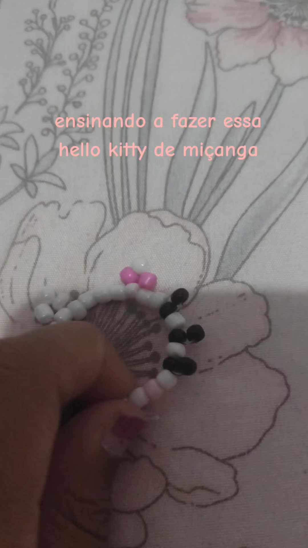 @✿laninha✿