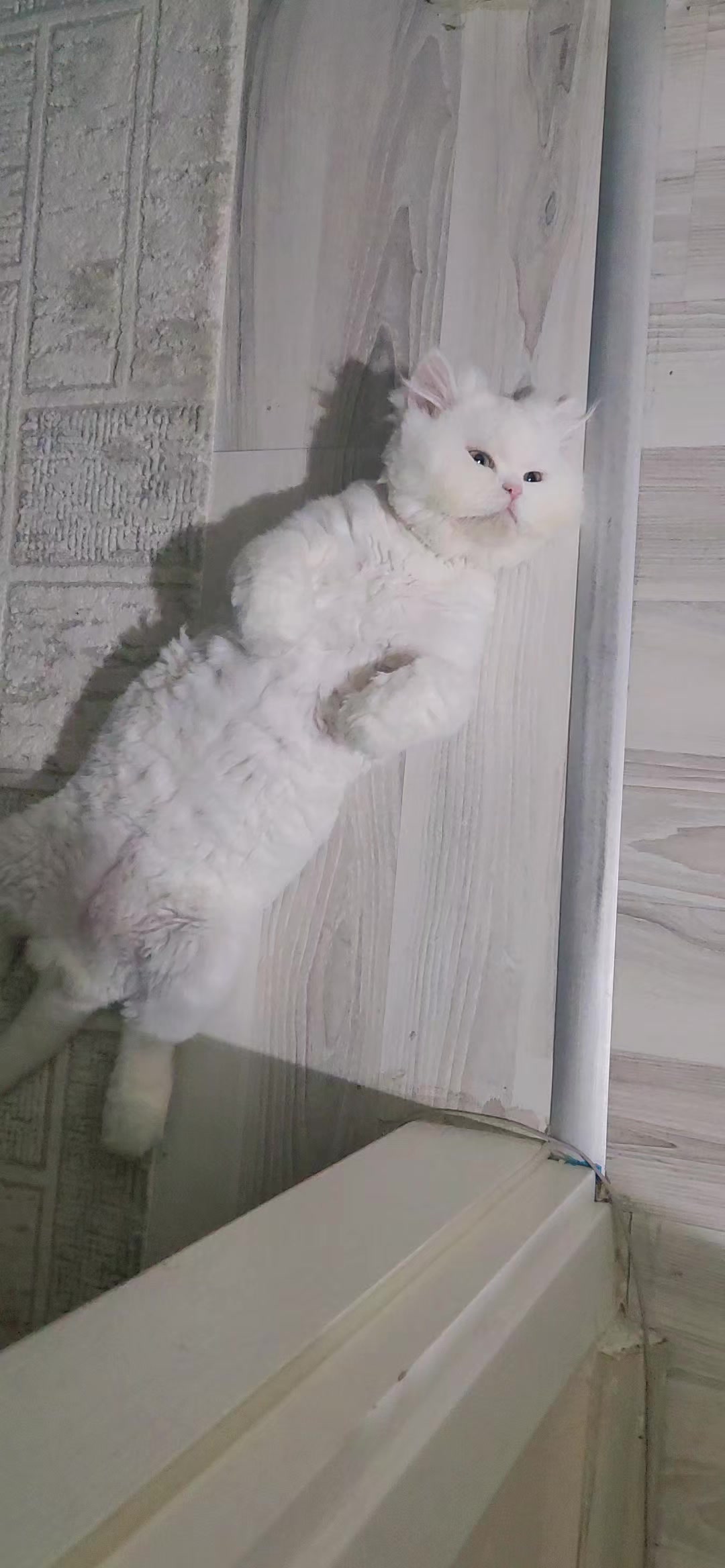 @N. Tuba Sarı&ccedil;avdar
