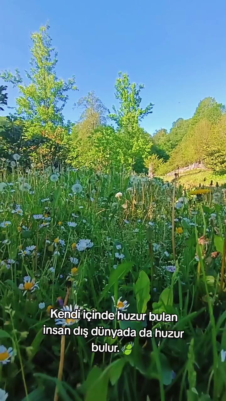 @𝓜𝓮𝓵𝓪𝓱𝓪𝓽 🕊️ 𝓔𝓻𝓴𝓪𝓷