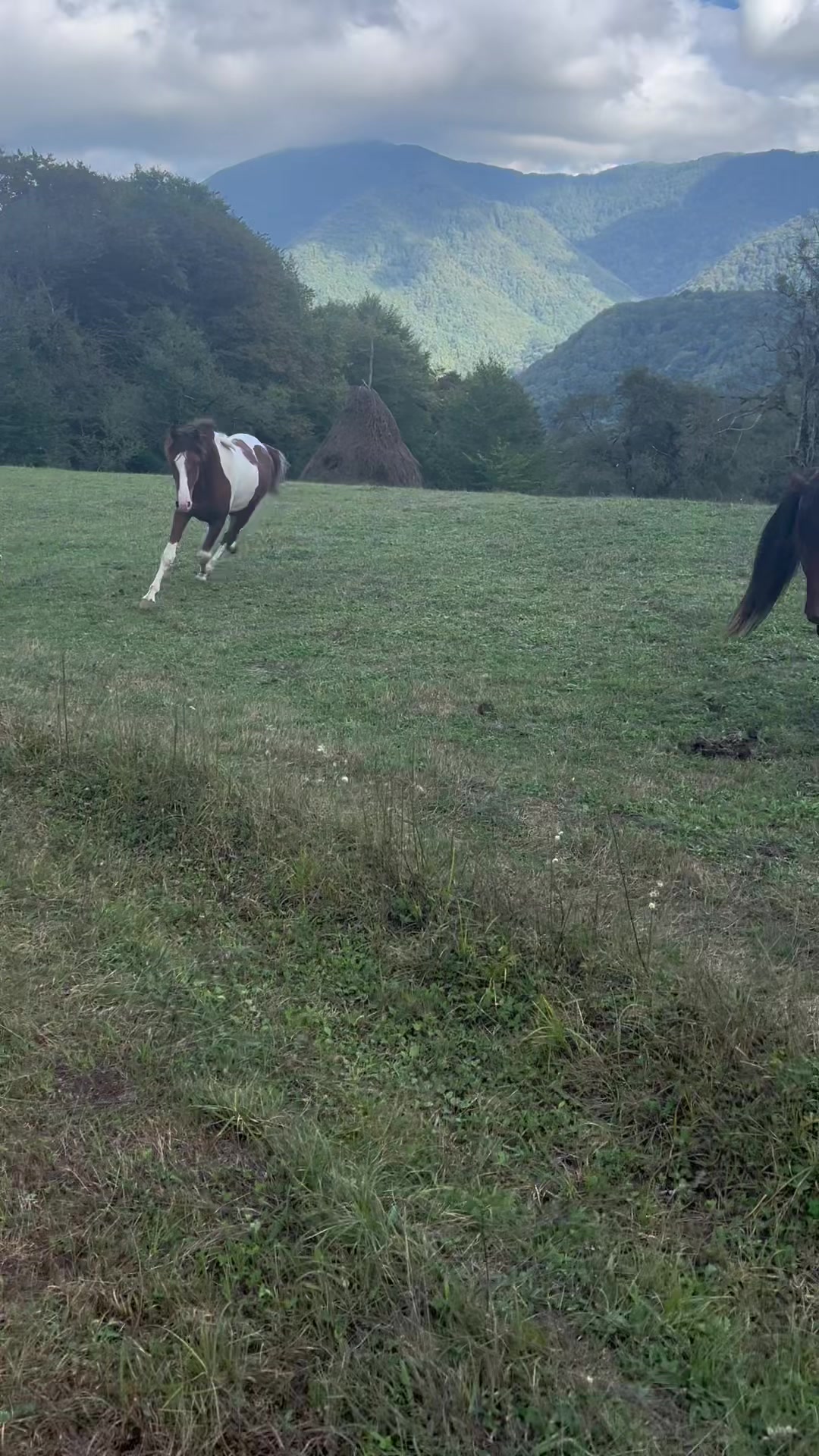 @BuKa Tikanashvili 🇬🇪