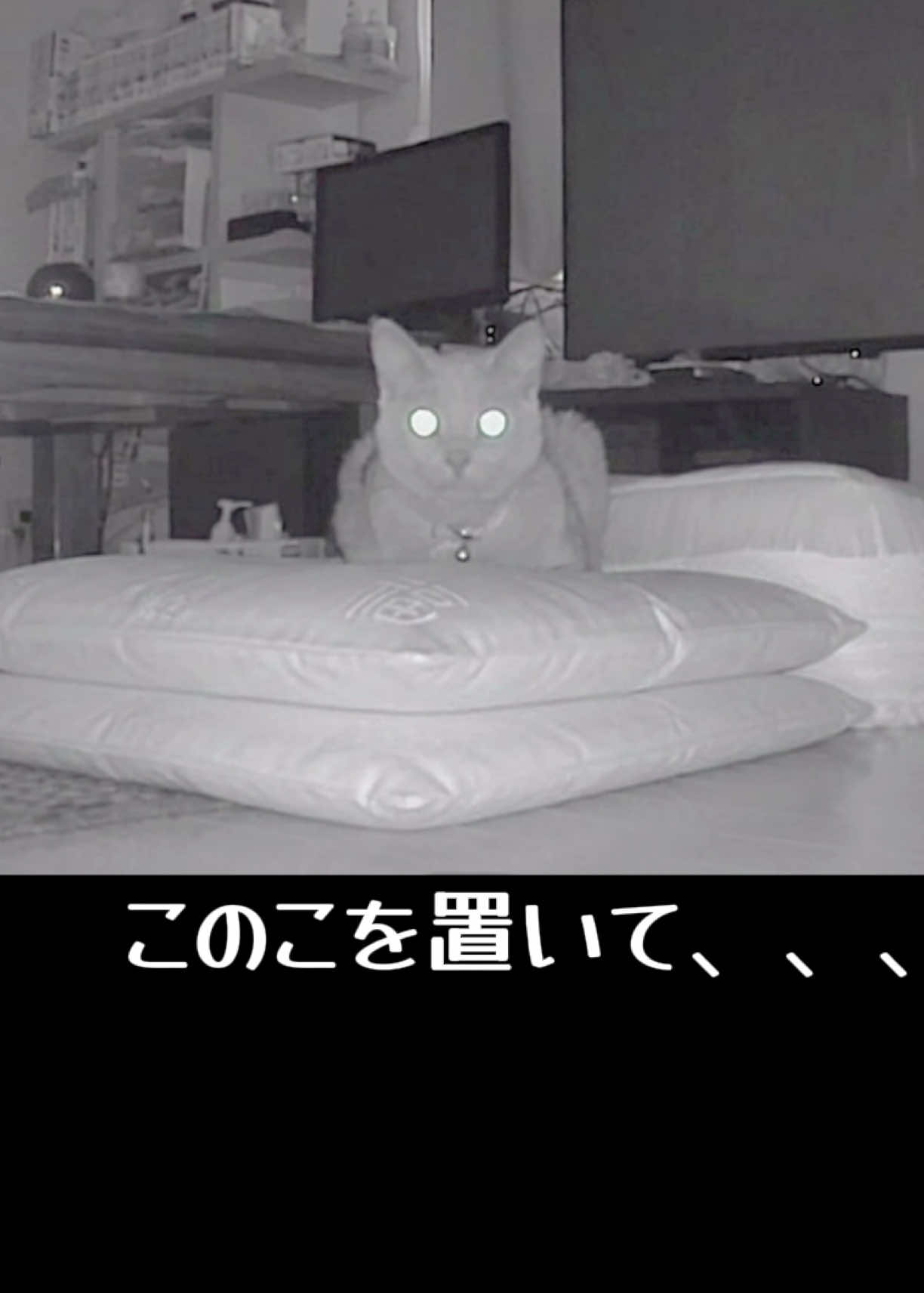 @看護師母さんの日常