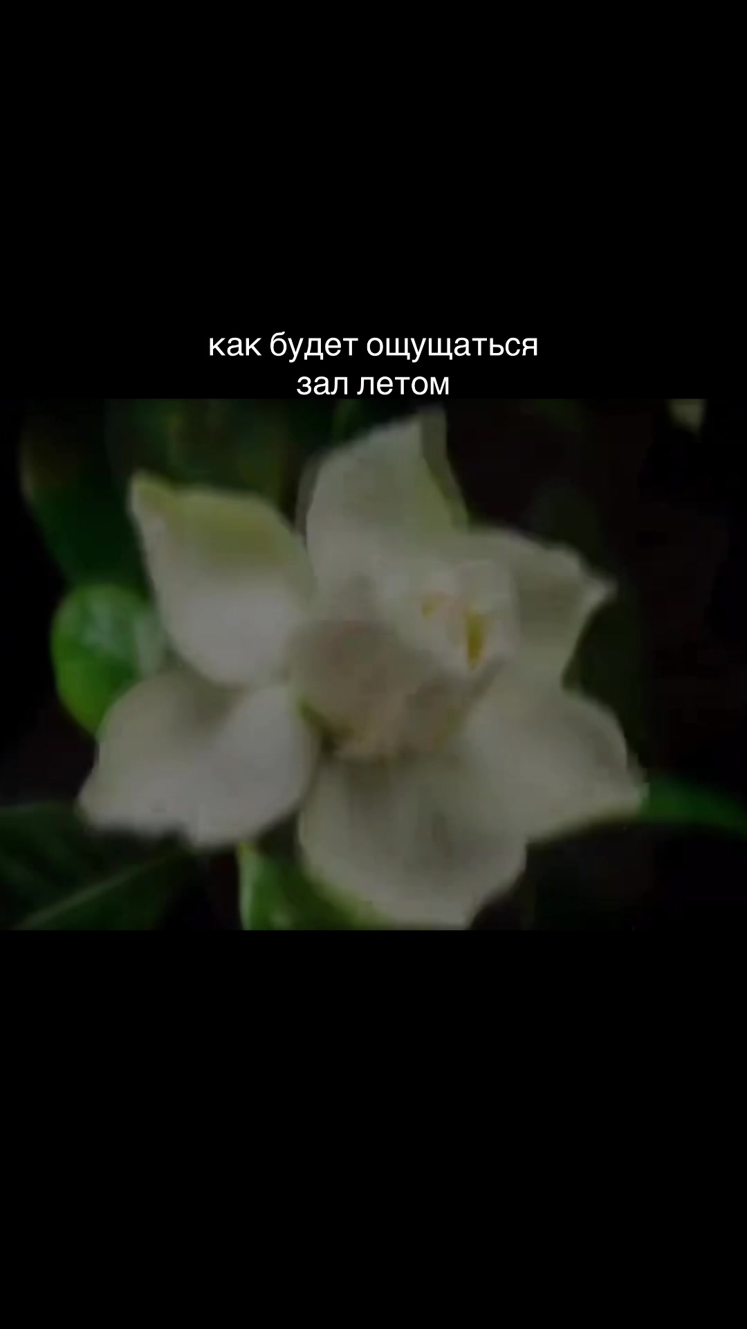@тгк: кайта