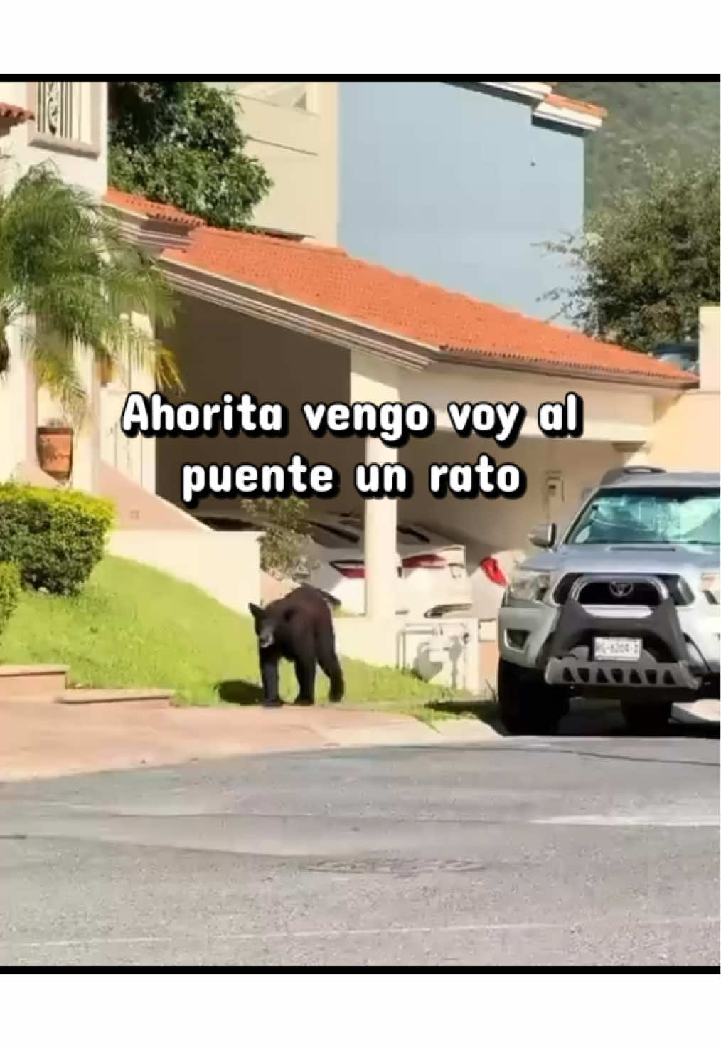 @Mateo Alcala