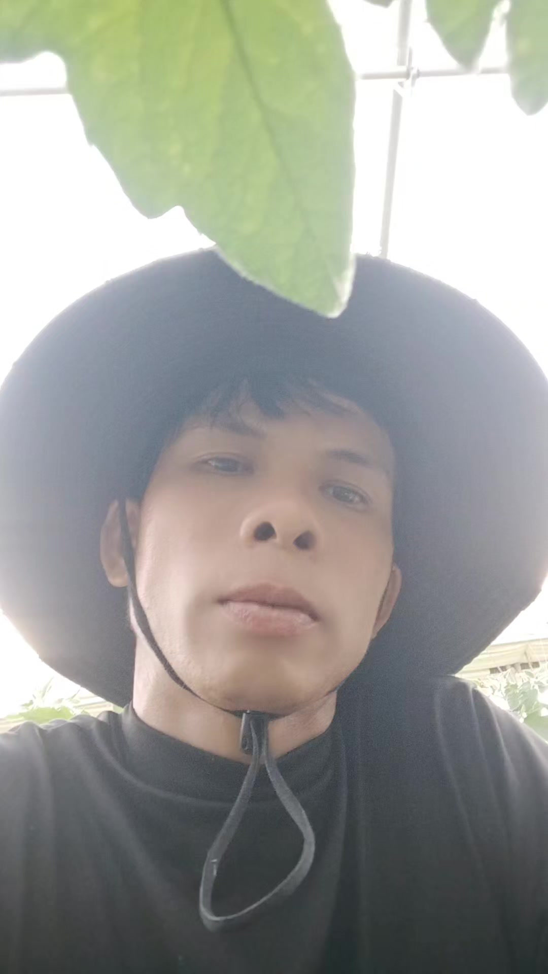 @tr&uacute;c linh1993