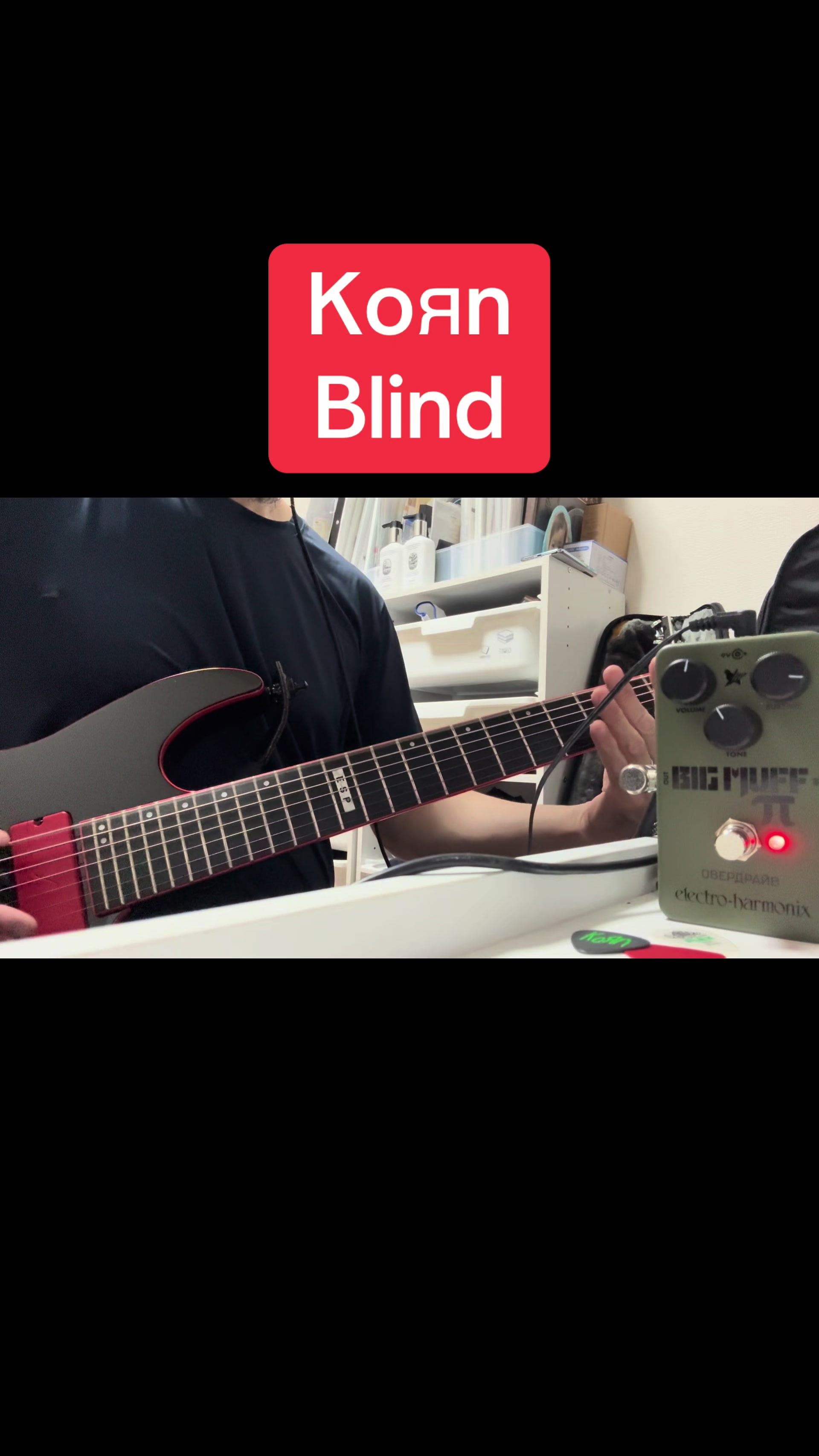 @ponchichi711