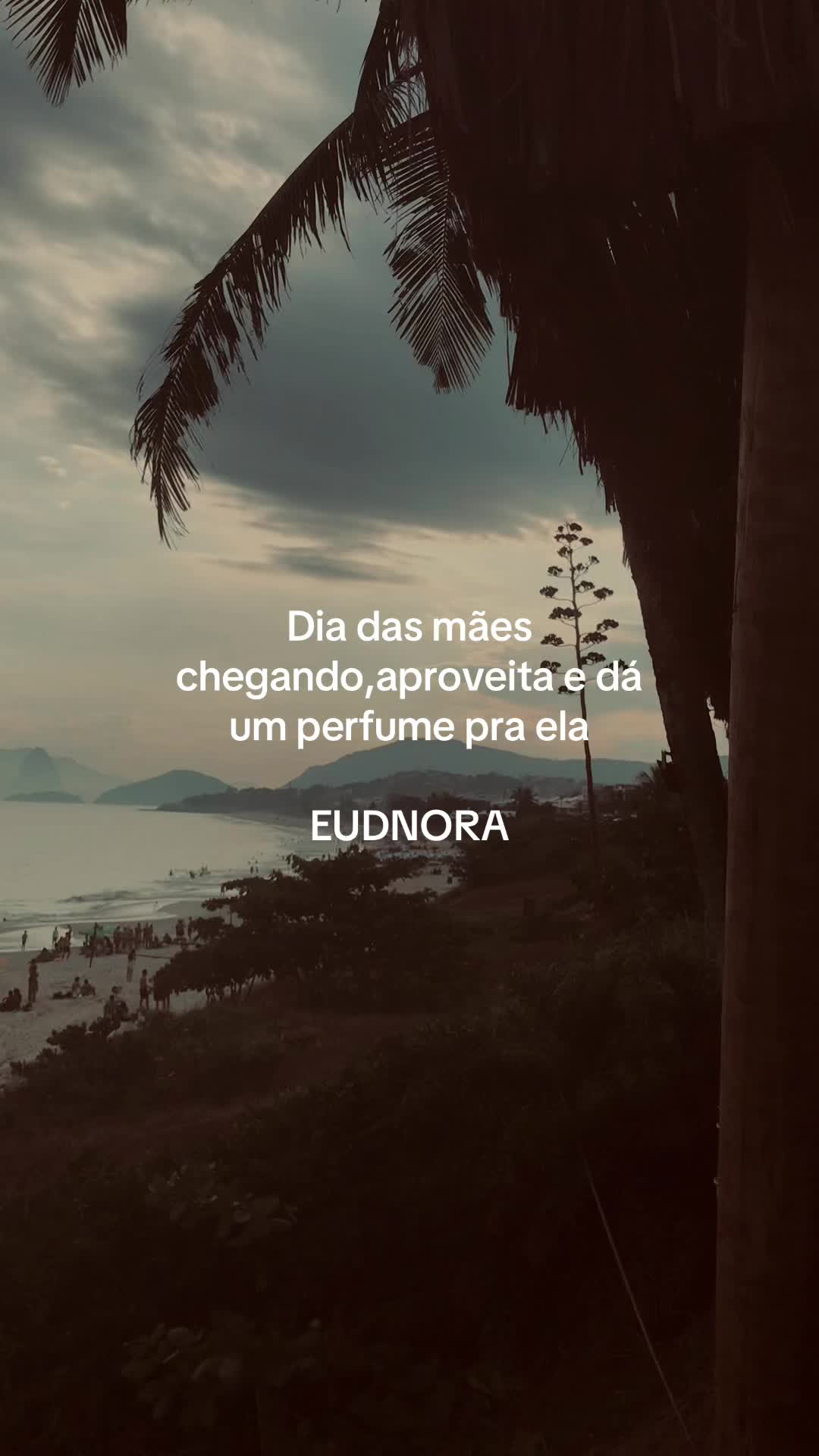 @Usuário confuso☼