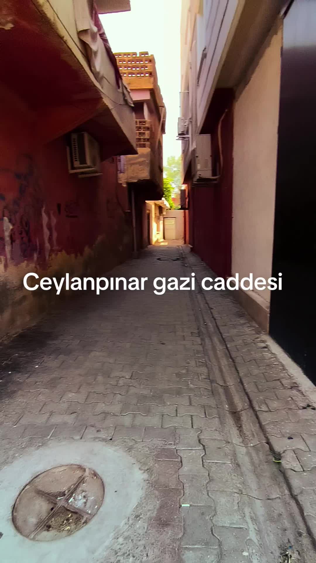 @Mehmet Beken💎