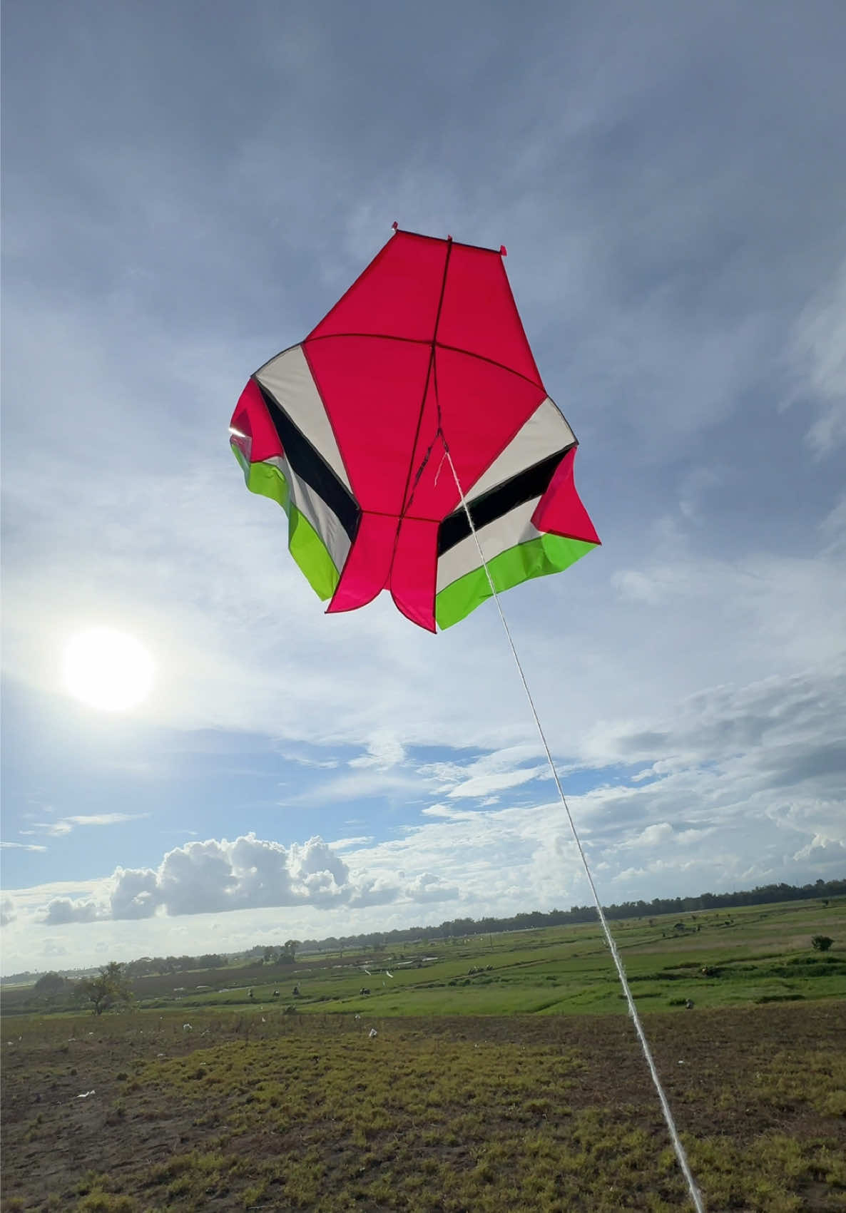 @ZAW Fhising & Kite