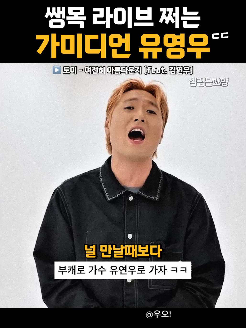 @셀럽볼꼬양