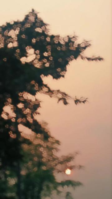 @S🦋96