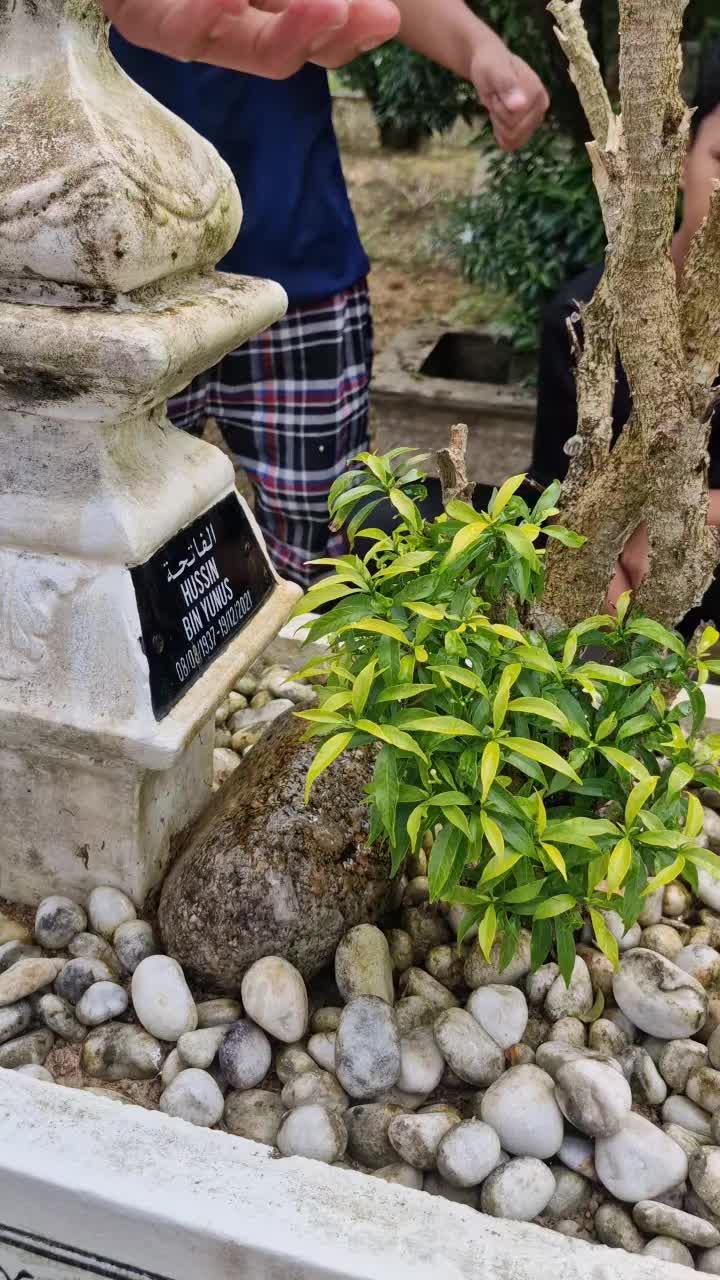 @Pomen Kg Peti Sejuk