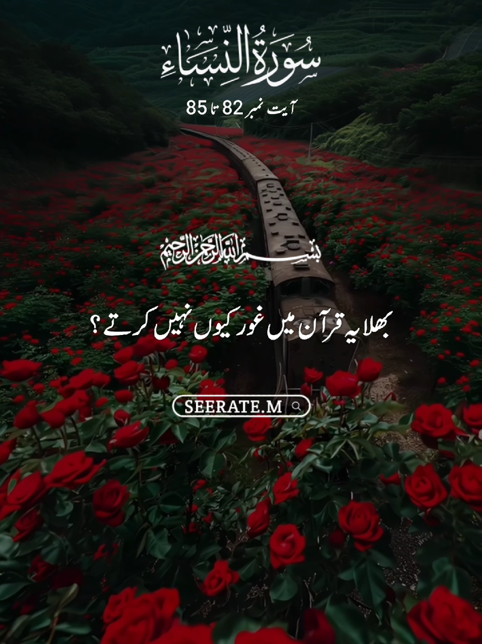 @𝚂𝙴𝙴𝚁𝙰𝚃𝙴-𝙼 ♡