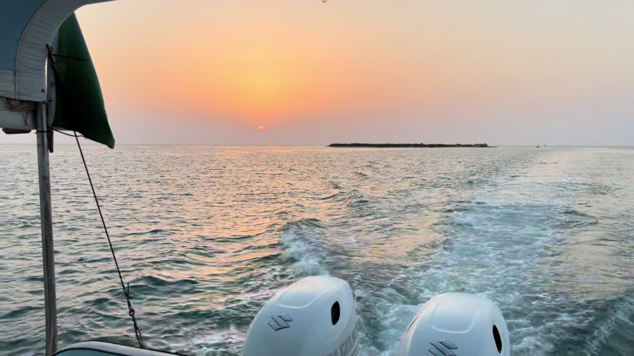 @حسن/🌊