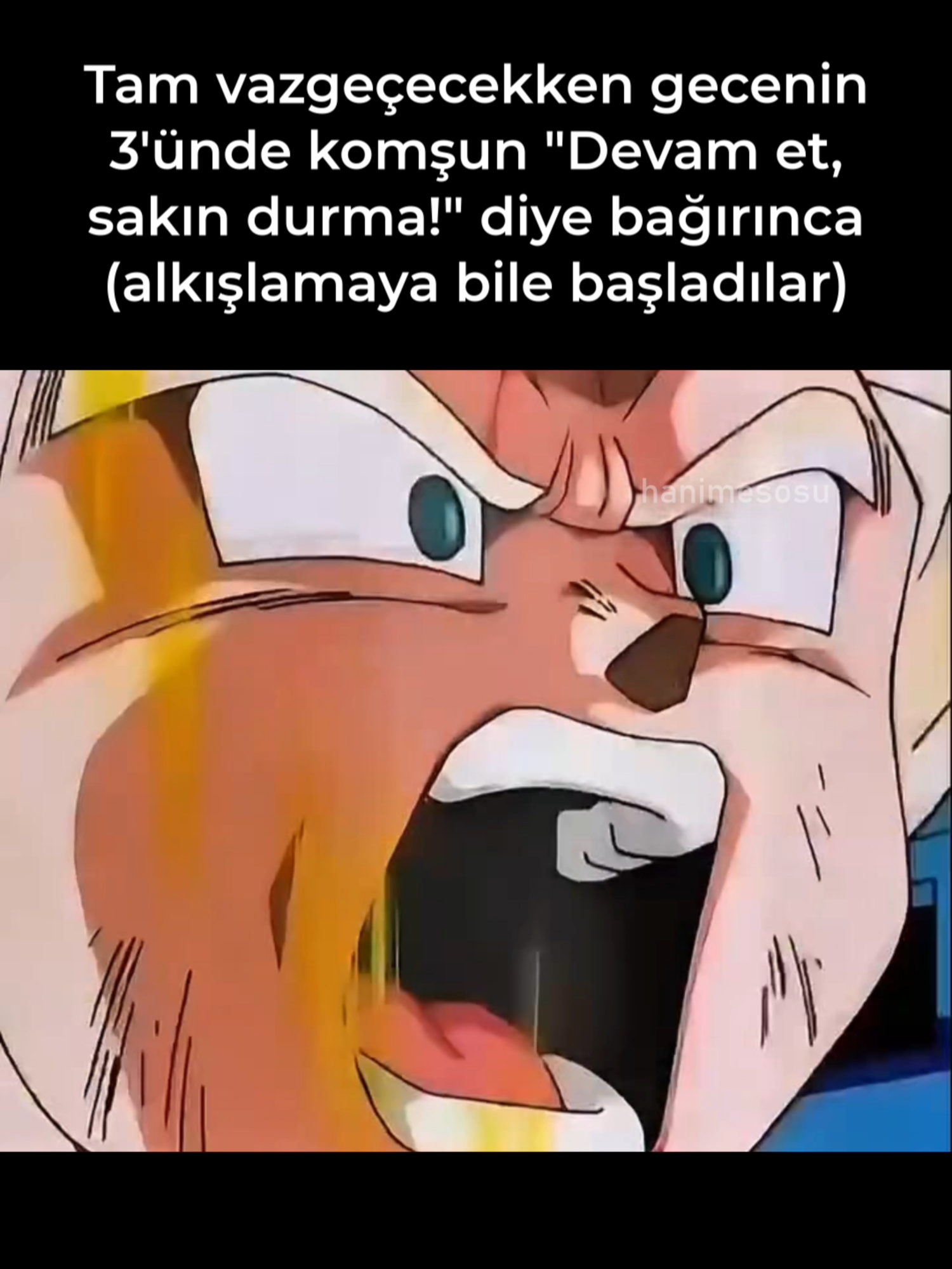 @H'anime Sosu