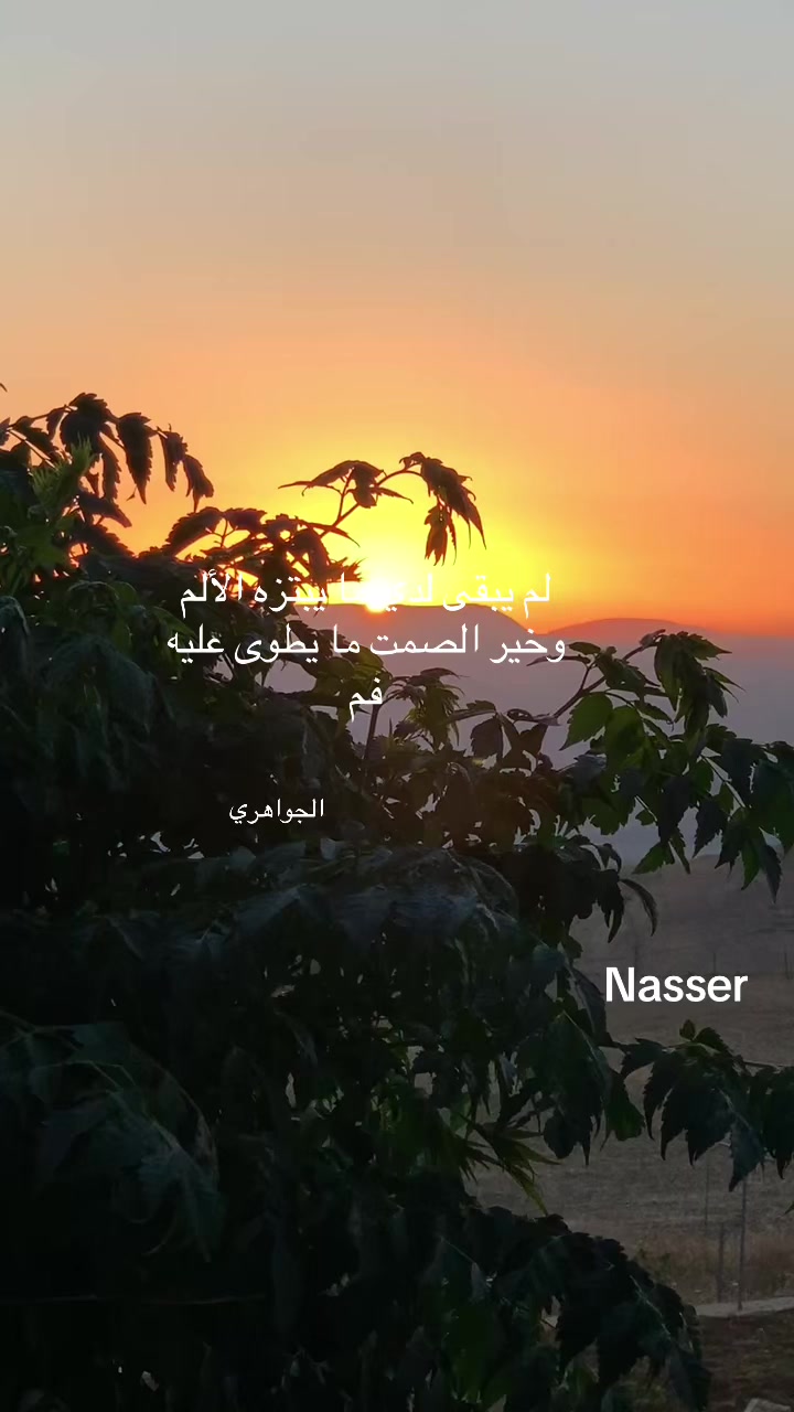 @Nasser