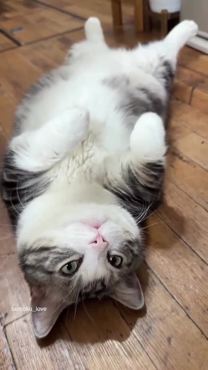 @артём