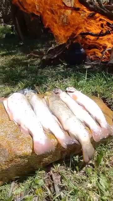 @медведь