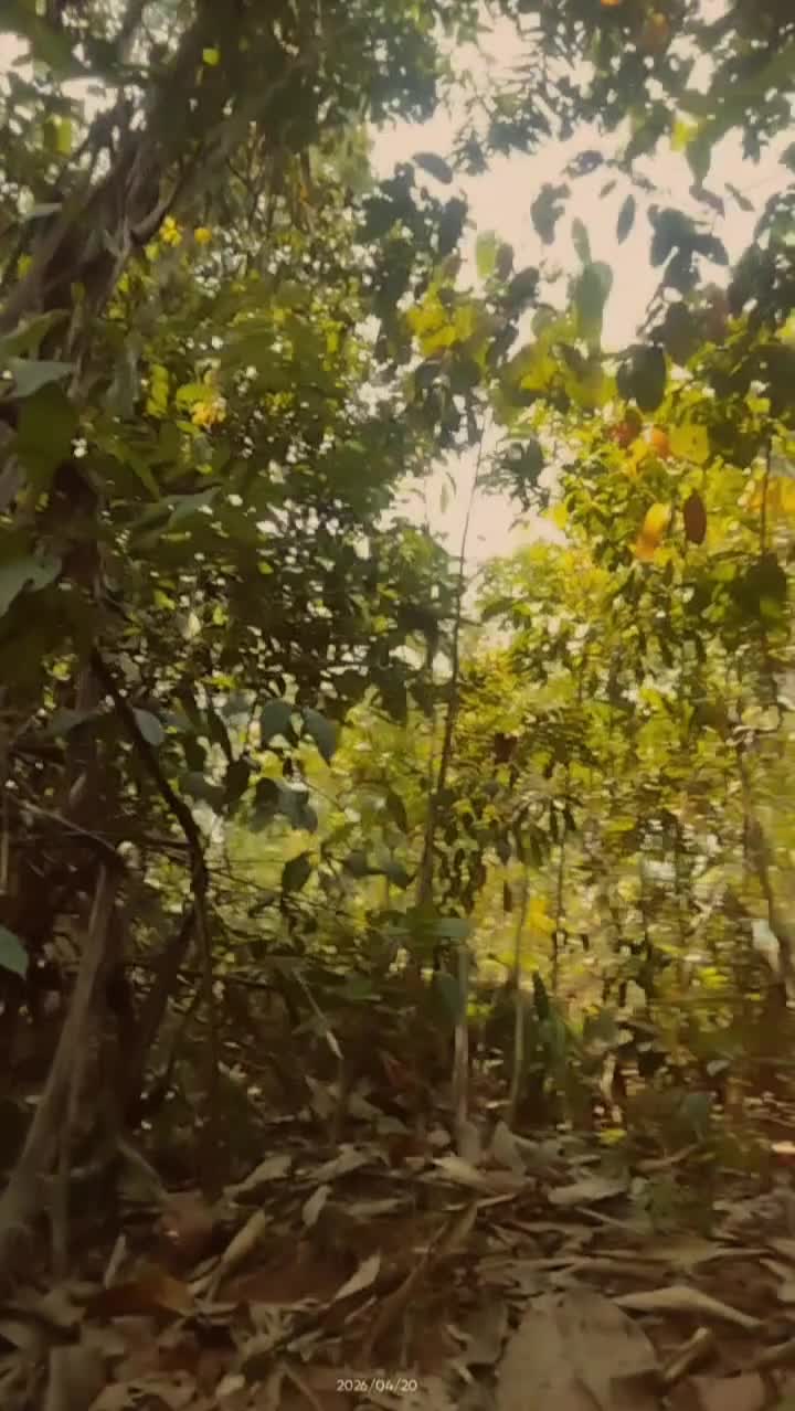 @GeminiPhoenix