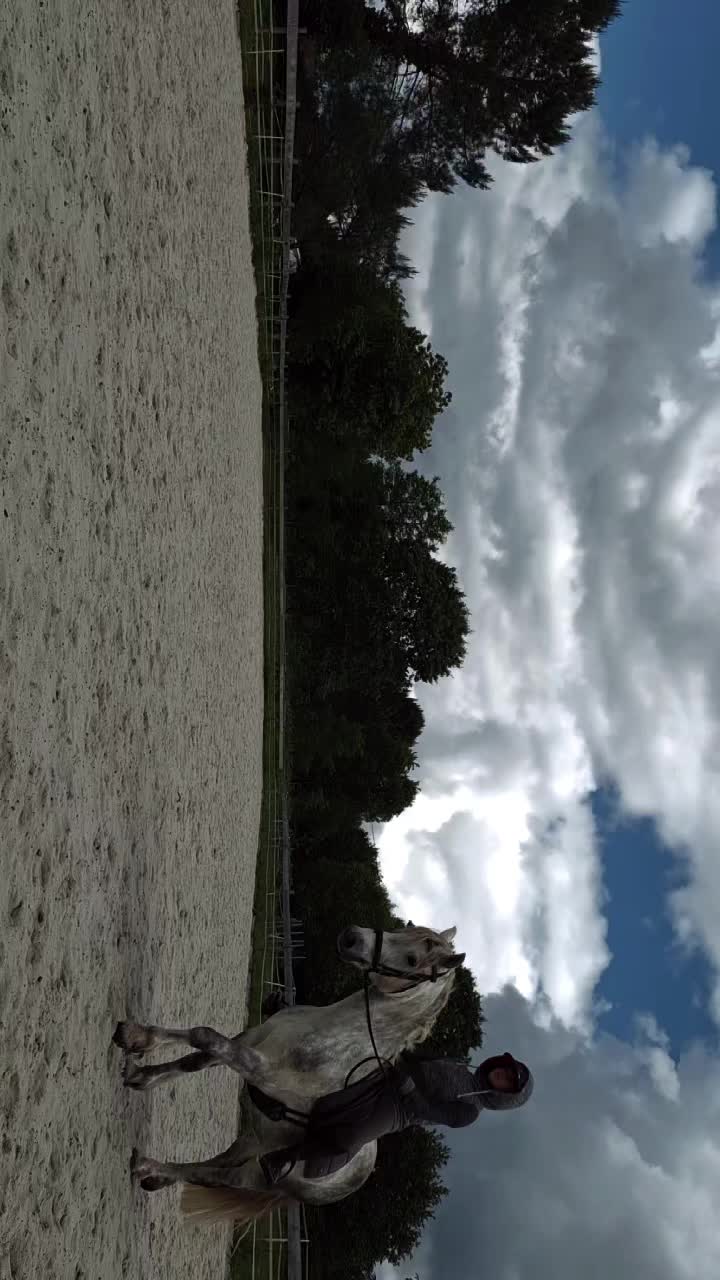 @Une.fleur.a.cheval