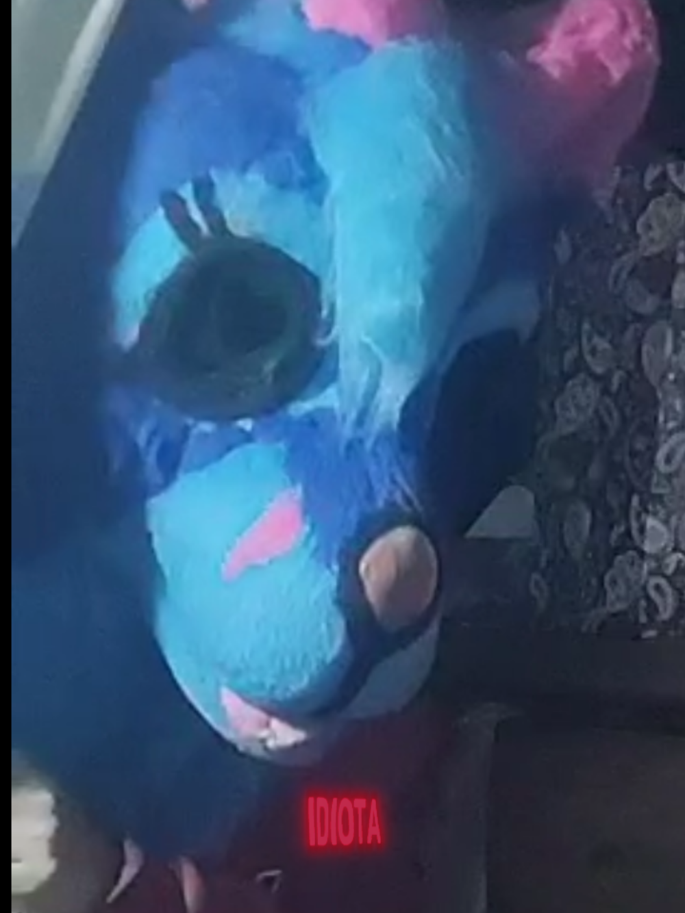 @MONSTFOX
