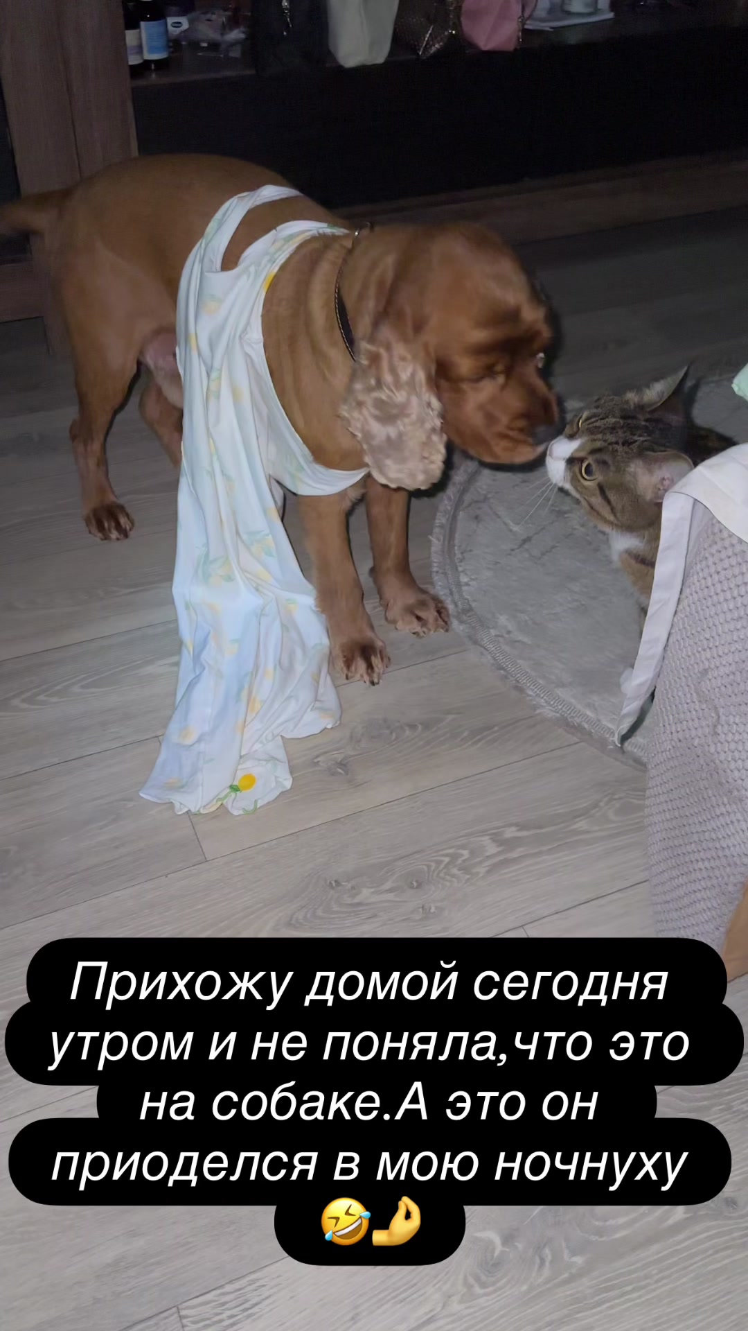 @Анна Доля