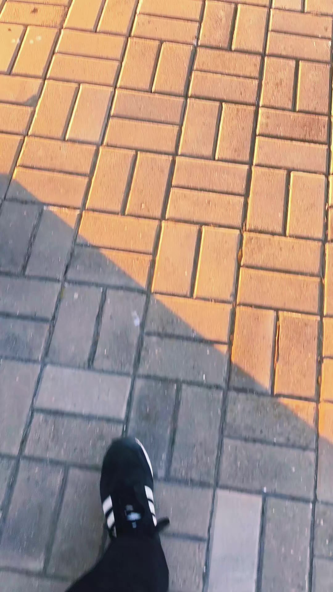@Pr1xoN