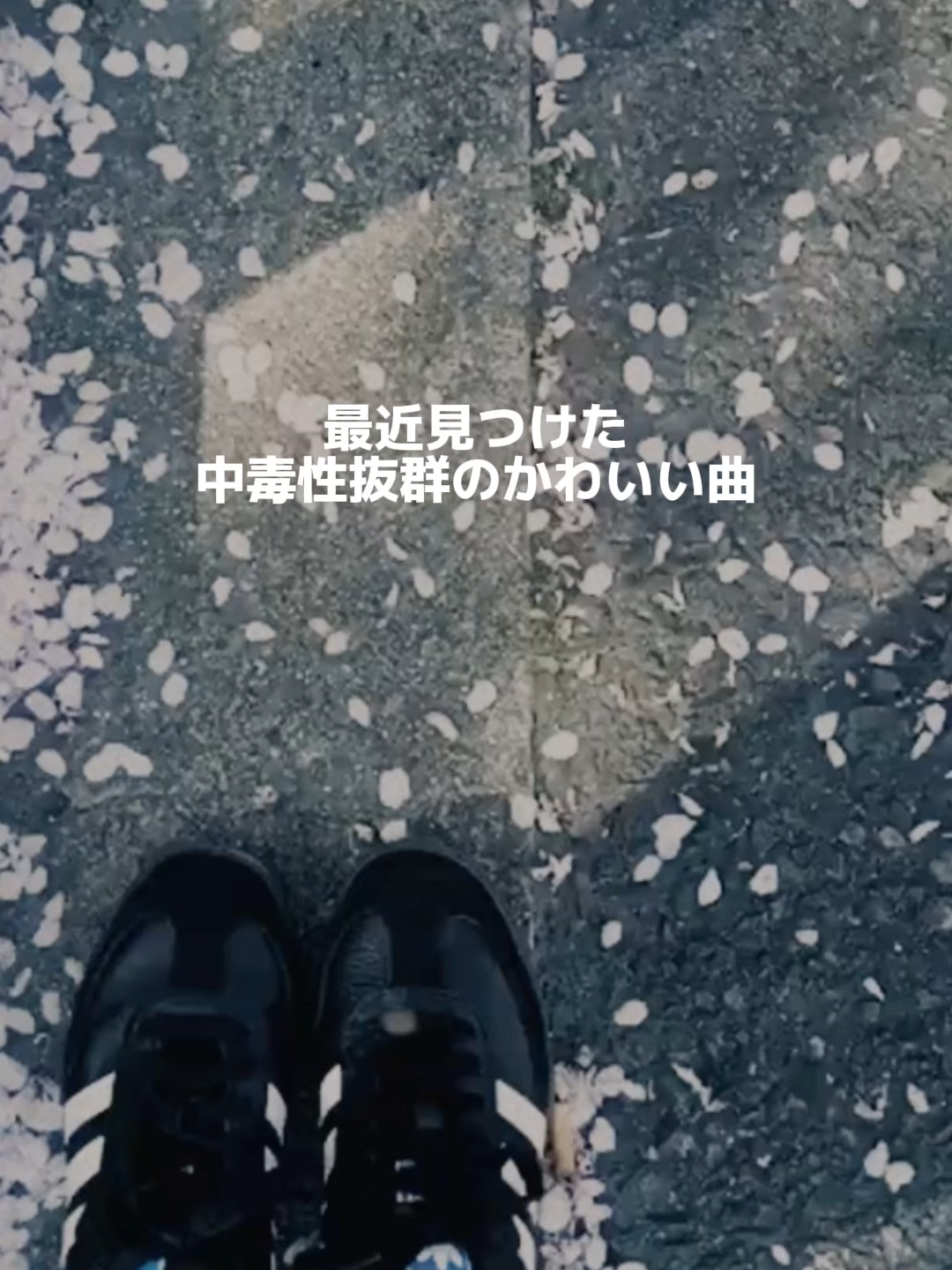 @日めくりプレイリスト