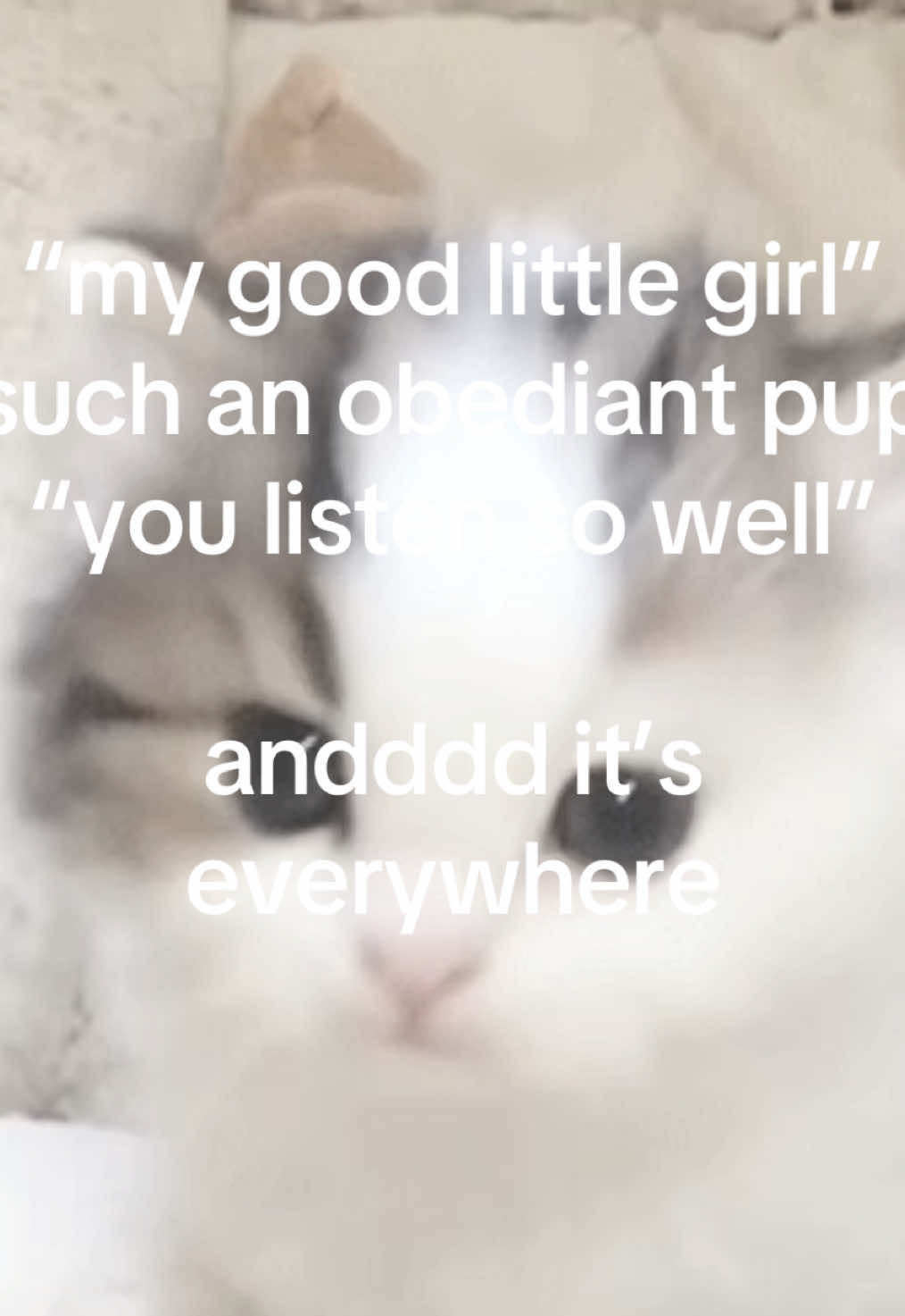 @cncbunniella