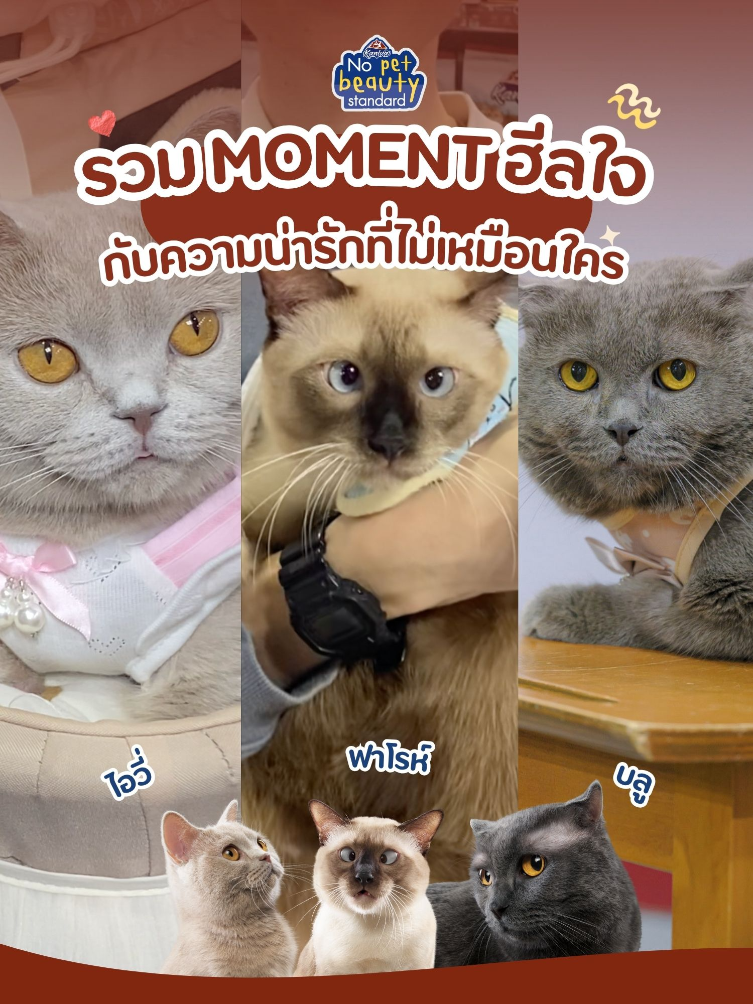 @Kaniva Pet Food