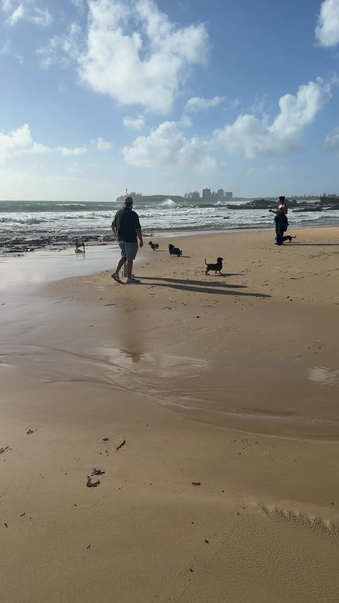 @Chenelle | Pet Sitter Podcast