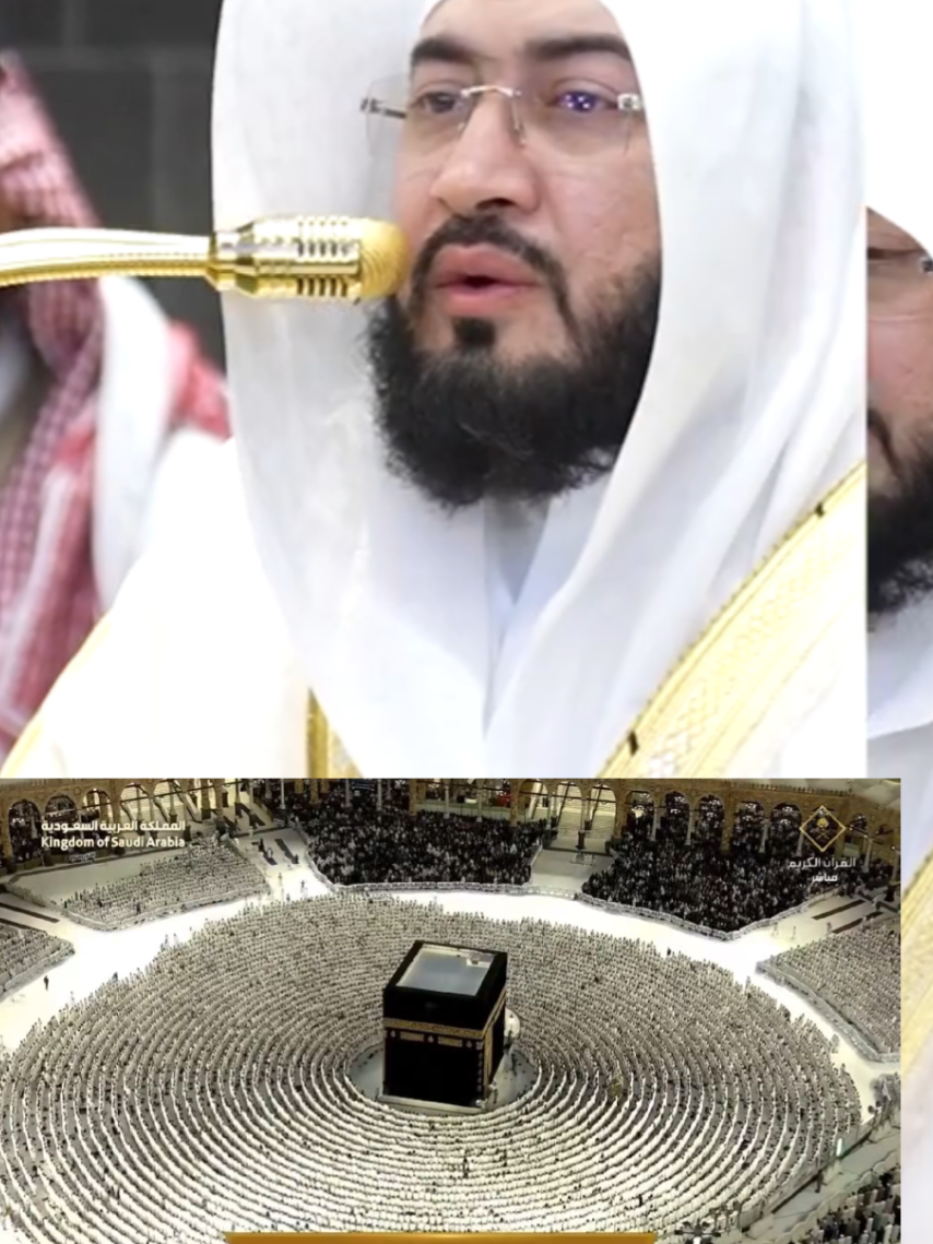 @سعود من المدينة المنورة 🛑