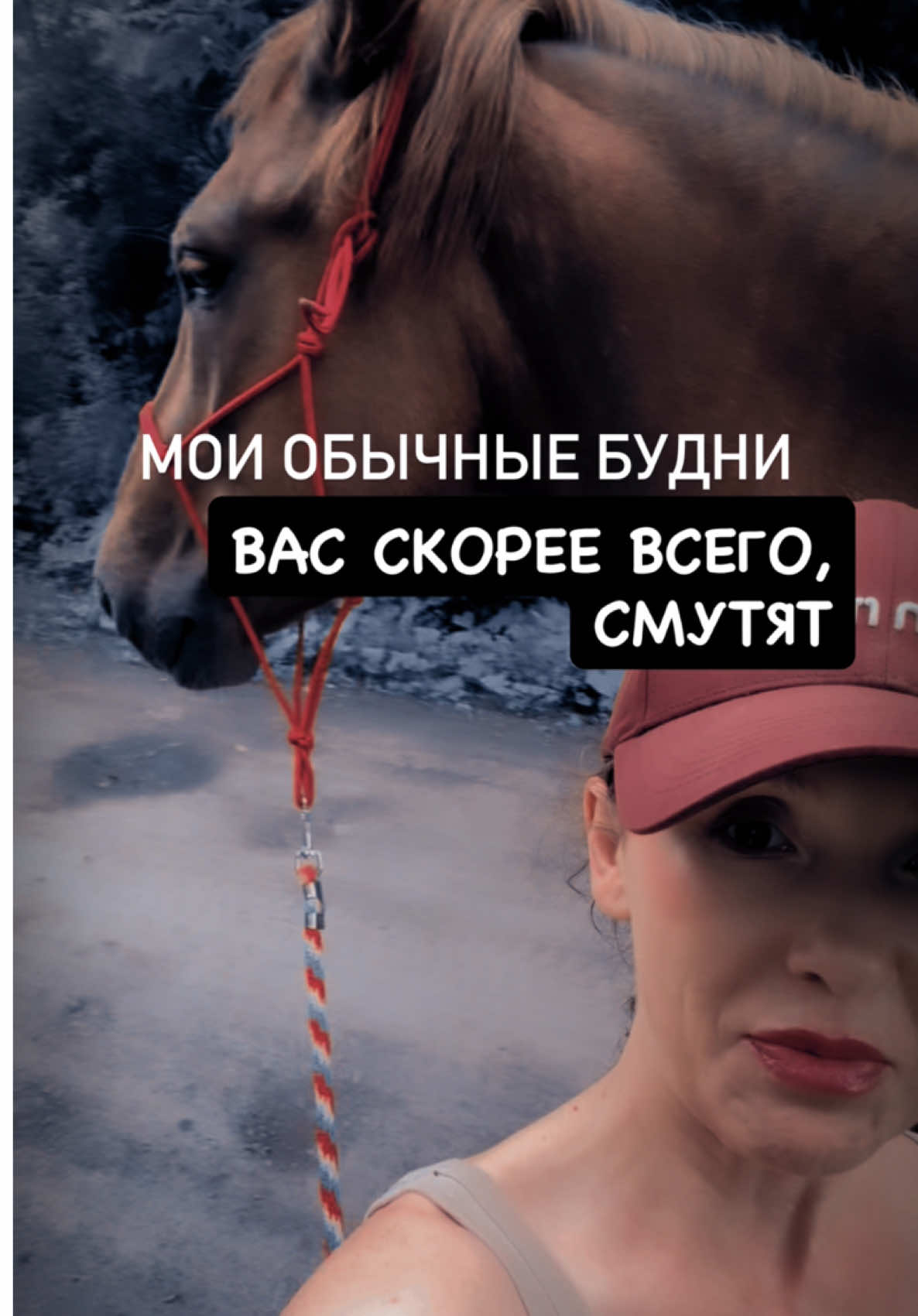@Вера/лошади/обучение лошадей